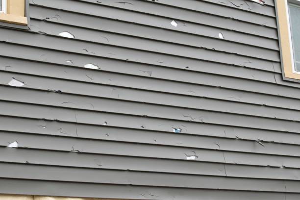 Best Historical Building Siding Restoration  in Cottage Grove, OR